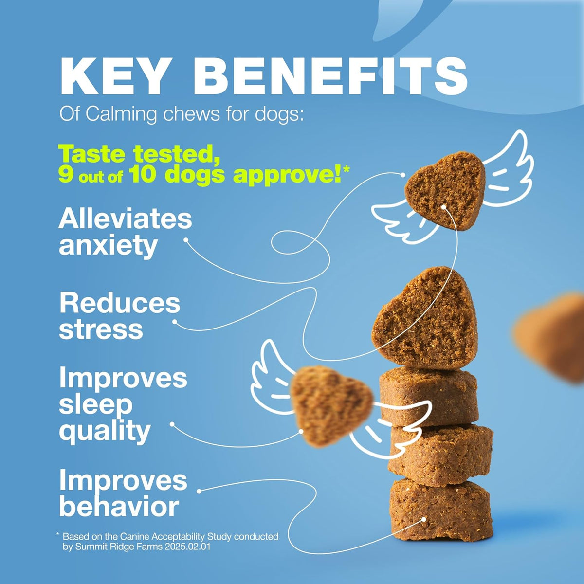 Daily Calm Support Chews. Gentle daily support for stress, travel, and noisy moments.