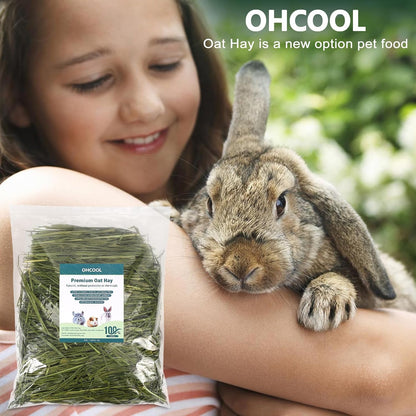 Premium Oat Hay for Pets - Dust Free Natural Green Fresh Pet Food Hay for Rabbits, Guinea Pigs