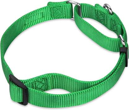Hyhug Solid Color Nylon Martingale Collar, Heavy Duty Escape-Proof Pup Dog Collar. (Small, Lime