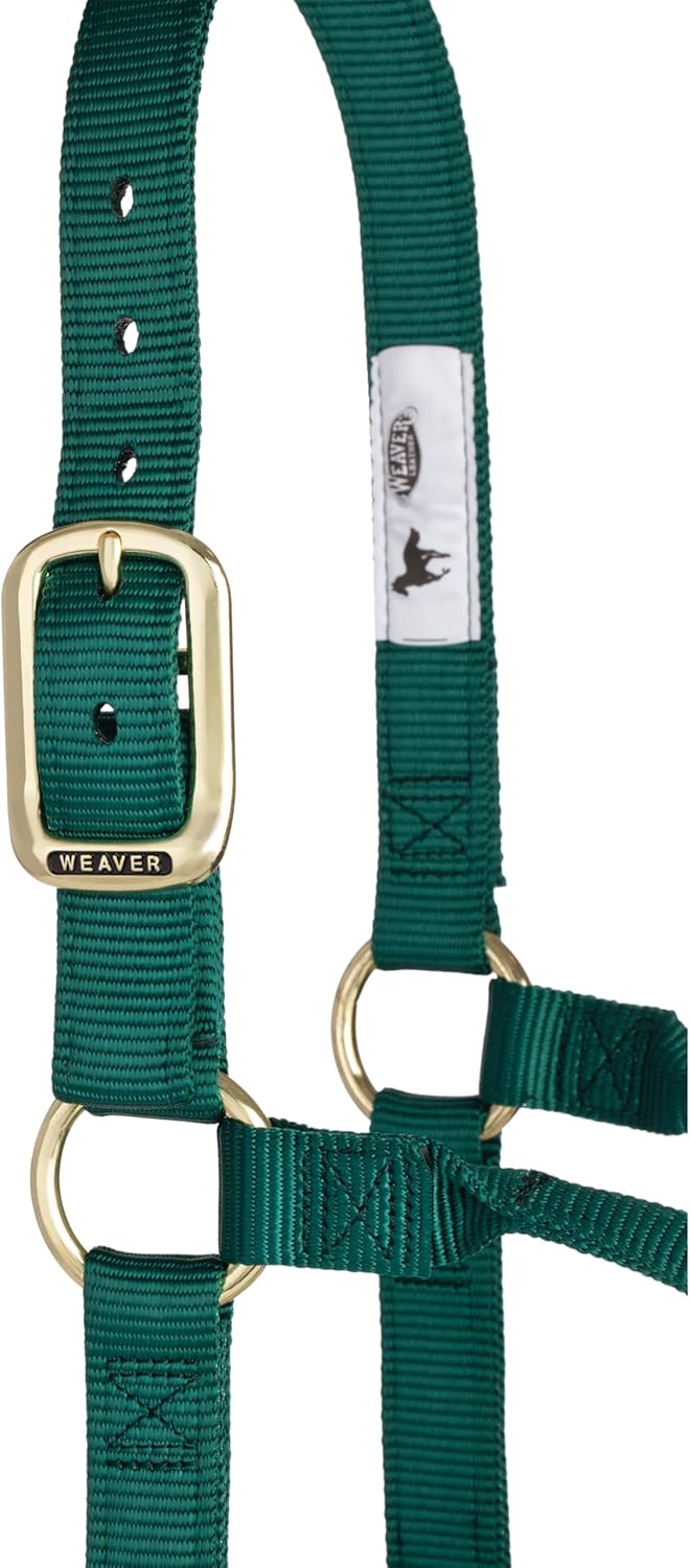 Weaver Equine Nylon Horse Halter, Triple-Ply Cheek Design, Original Non Adjustable Halters for