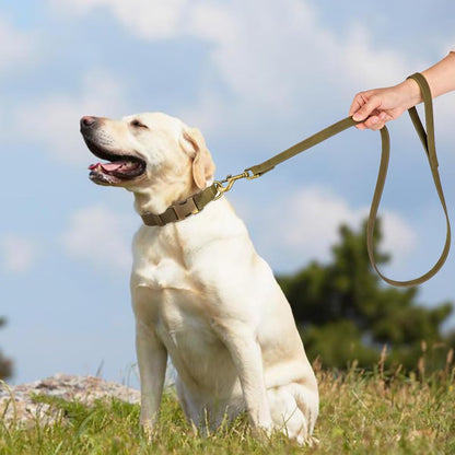 Didog Soft PU Leather Dog Collar, Stylish Quick Released Dog Collars for Large Dogs, Easy Clean