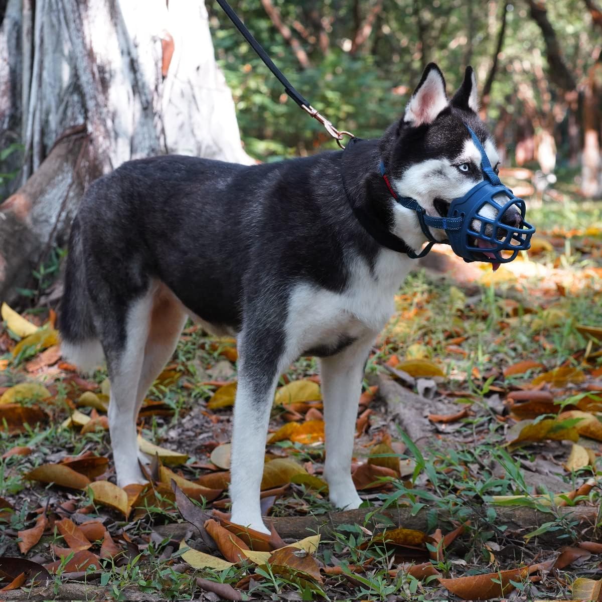 BARKLESS Dog Muzzle, Soft Basket Silicone Muzzle for Dogs to Prevent Biting and Chewing, Breathable
