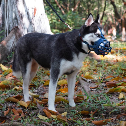 BARKLESS Dog Muzzle, Soft Basket Silicone Muzzle for Dogs to Prevent Biting and Chewing, Breathable
