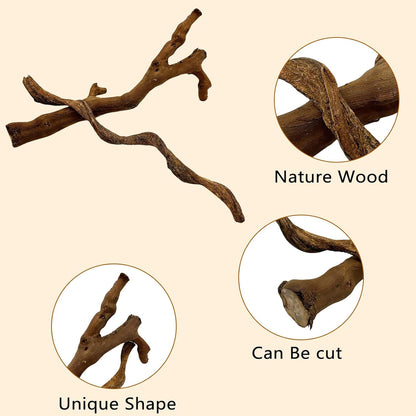 BNOSDM 2PCS Reptile Wood Branches, Snake Climbing Branch, Bearded Dragon Climbing Accessories
