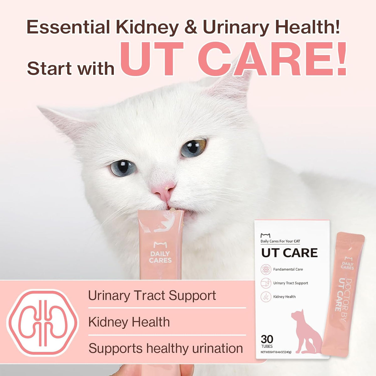 Dr.by UT Care Cat UTI Kidney Support Urinary Supplement Cranberry Treatment for Cats Renal Health