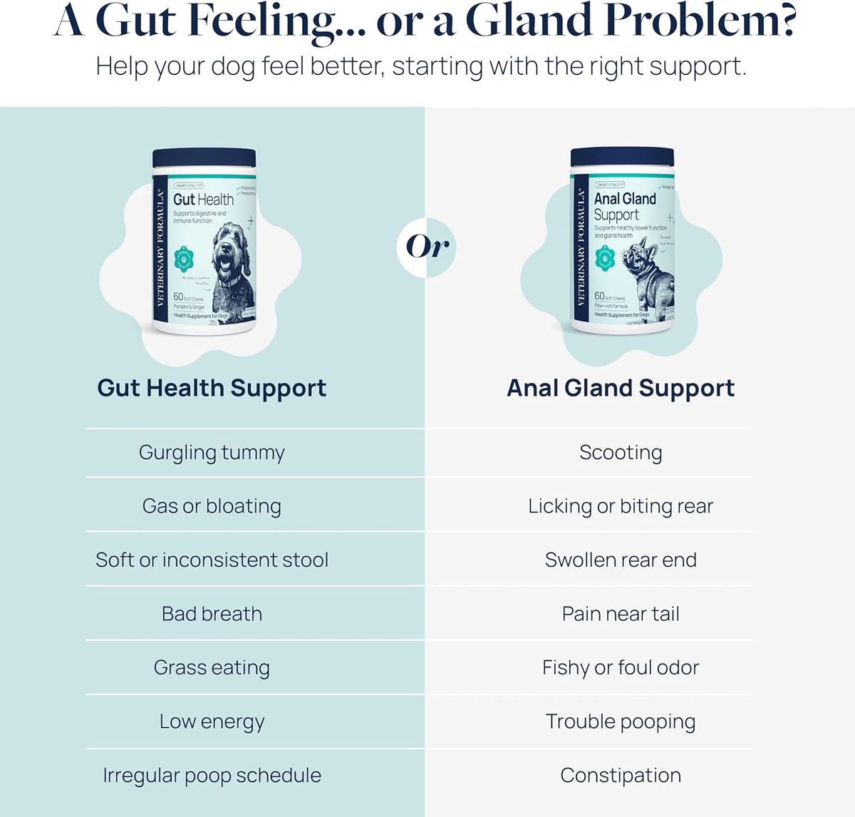 Veterinary Formula Gut Health Supplement for Dogs – Vet-Formulated Probiotic Chews with Digestive