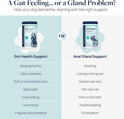 Veterinary Formula Gut Health Supplement for Dogs – Vet-Formulated Probiotic Chews with Digestive
