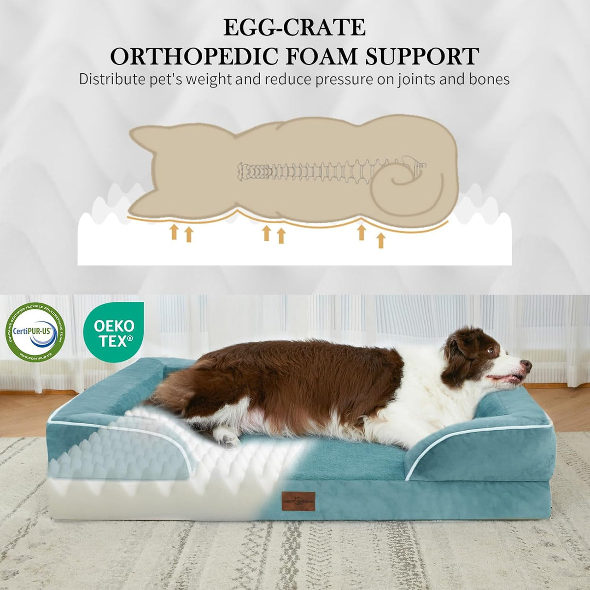 Comfort Expression Jumbo Breed Dog Bed, Orthopedic Beds for Extra Large Dogs, Waterproof Dog Bed