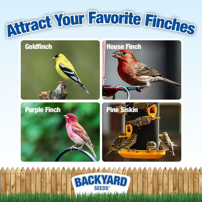 Backyard Seeds Finch Frenzy Wild Bird Seed Mix - for Small Songbirds - Attracts Goldfinches, House