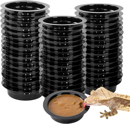 WACOOL Magnetic Reptile Ledge, Acrylic Gecko Feeding Ledge with 6PCS Cups, Reptile Food Water
