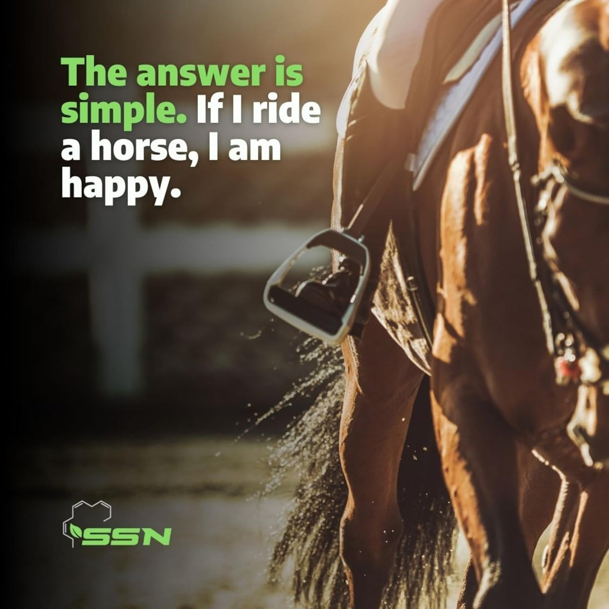 SSN HA 150 - 4 In 1 Horse Supplement - 30 Servings - Equine Joint, Gastric, Ligament/Tendon, Lung