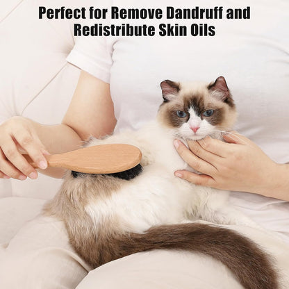 Boar Bristle Cat Brush with Wooden Handle, Soft and Gentle, Reduce Shedding, Make Coat Soft, Smooth