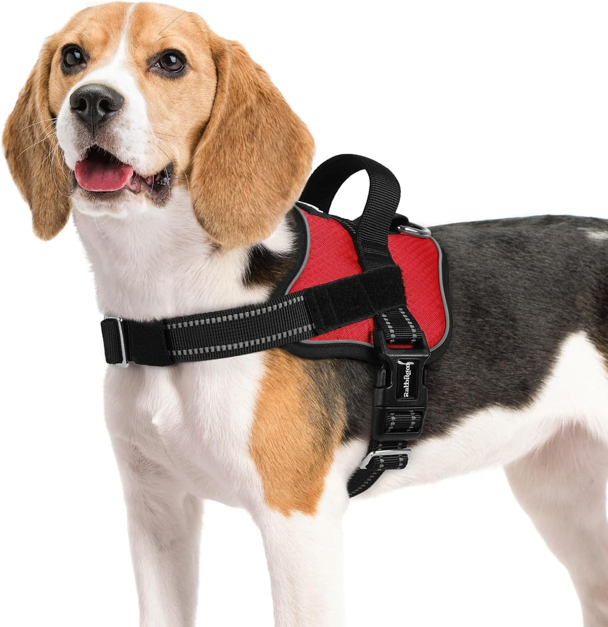 rabbitgoo Dog Harness Medium Sized, Easy On Pet Vest with One Buckle, No Pull Adjustable Service