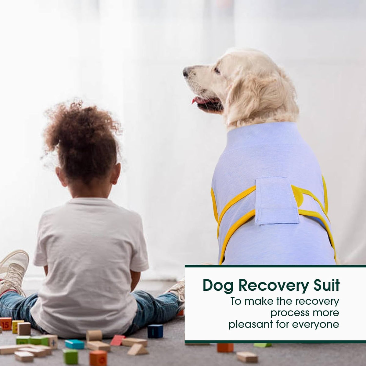 Kuoser Recovery Suit for Dogs Cats After Surgery, Professional Pet Recovery Shirt Dog Abdominal