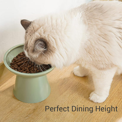 Extra Wide Elevated Ceramic Cat Food Bowl - 6.2" Shallow Dish for Whisker Fatigue Relief, 5" Height