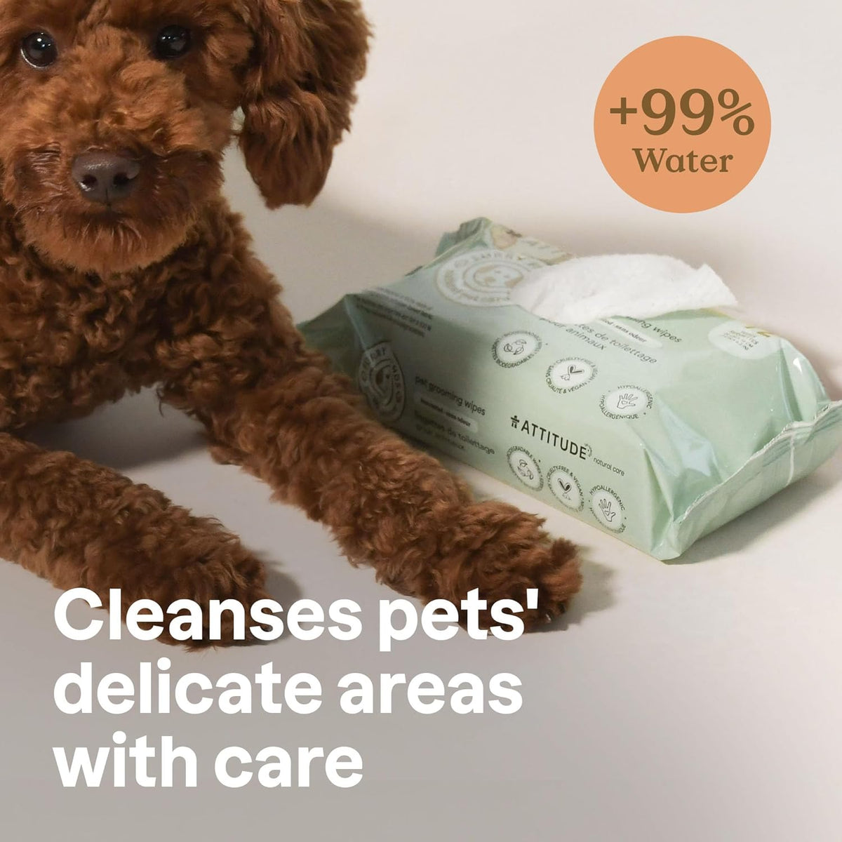 ATTITUDE Pet Wipes for Dogs & Cats, 99% Water, EWG Verified, Gentle & Unscented Cleaning Wipes for