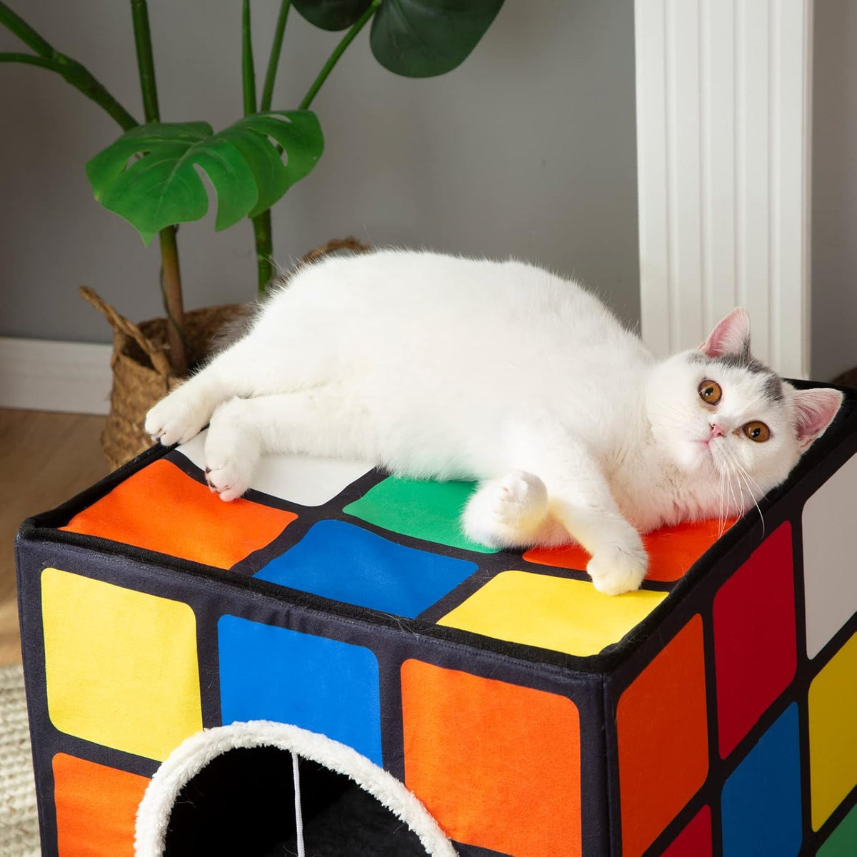 LUCKITTY Cat Condo House with Reversible Cushions and Fluffy Ball Hanging, Foldable Magic Cube