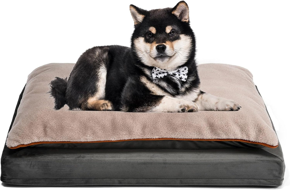 Amazon Basics Dog Bed with Cooling Gel Memory Foam, Pressure-Relief Support for Dogs up to 50lbs