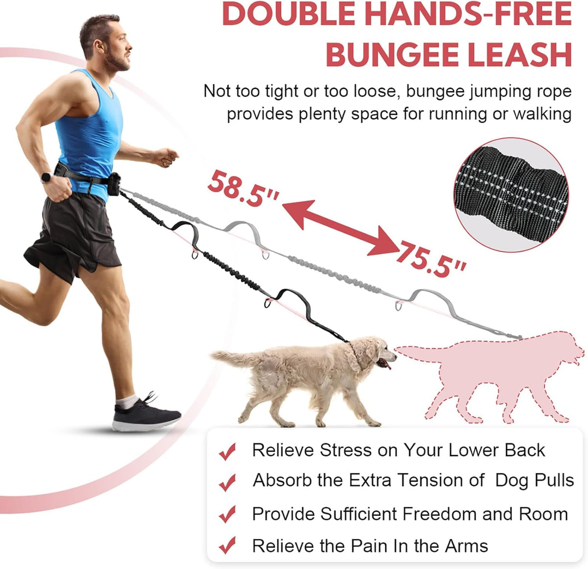 Hands Free Dog Leash, Waist Leash for Dog Walking 2 Dogs, Double Dog Leash for Two Dogs with Padded