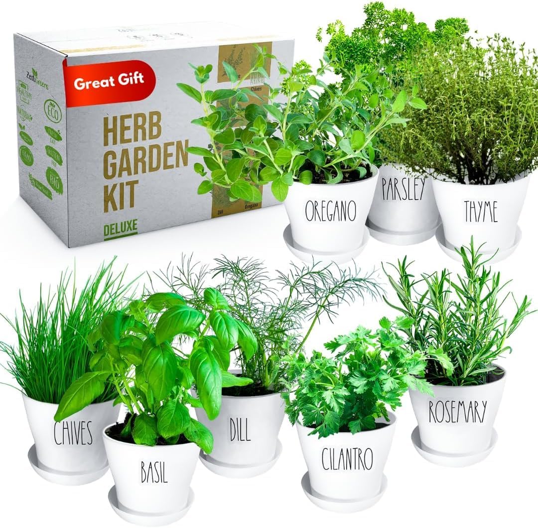 Deluxe Indoor & Outdoor Herb Garden Kit – 8 or The Most Popular Culinary Herbs with Pots & Soil for