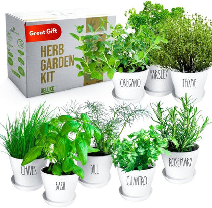 Deluxe Indoor & Outdoor Herb Garden Kit – 8 or The Most Popular Culinary Herbs with Pots & Soil for