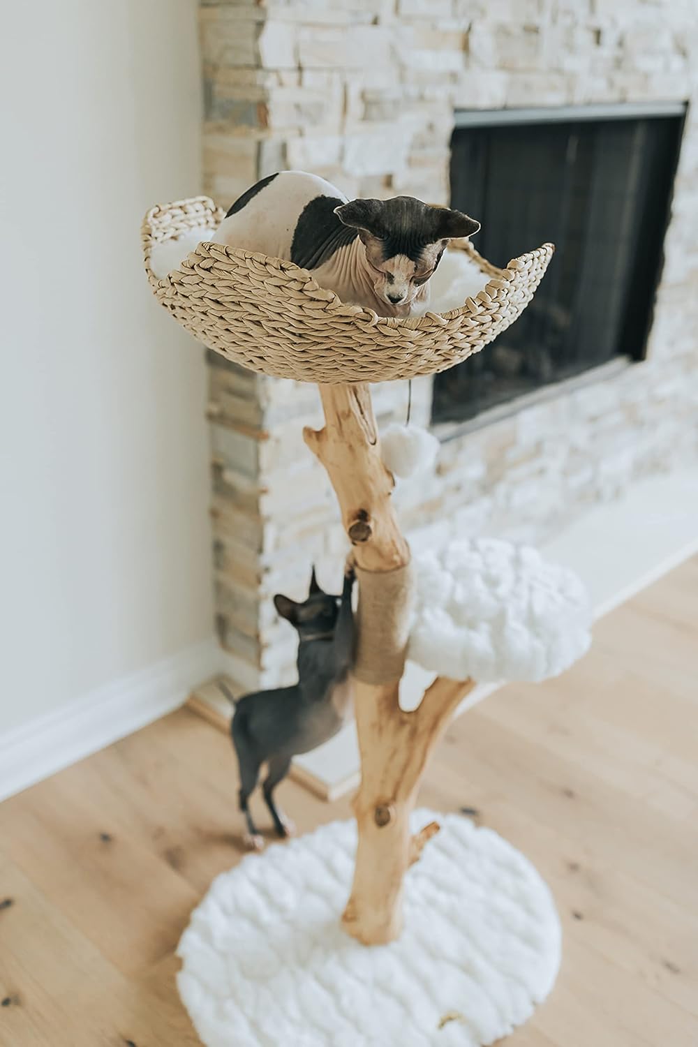 Wooden Cat Climbing Tree Tower, Modern Single Branch Cat Condo, Wood, Cat Lover Furniture Gift by
