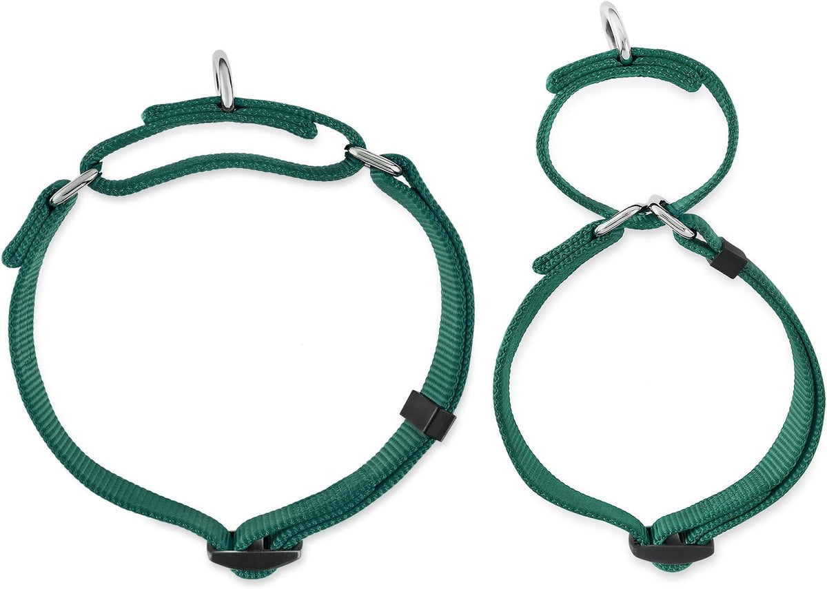 Hyhug Anti - Slip Out Strong Martingale Collar for Large Boy and Girl Dogs Comfy and Safe - Daily