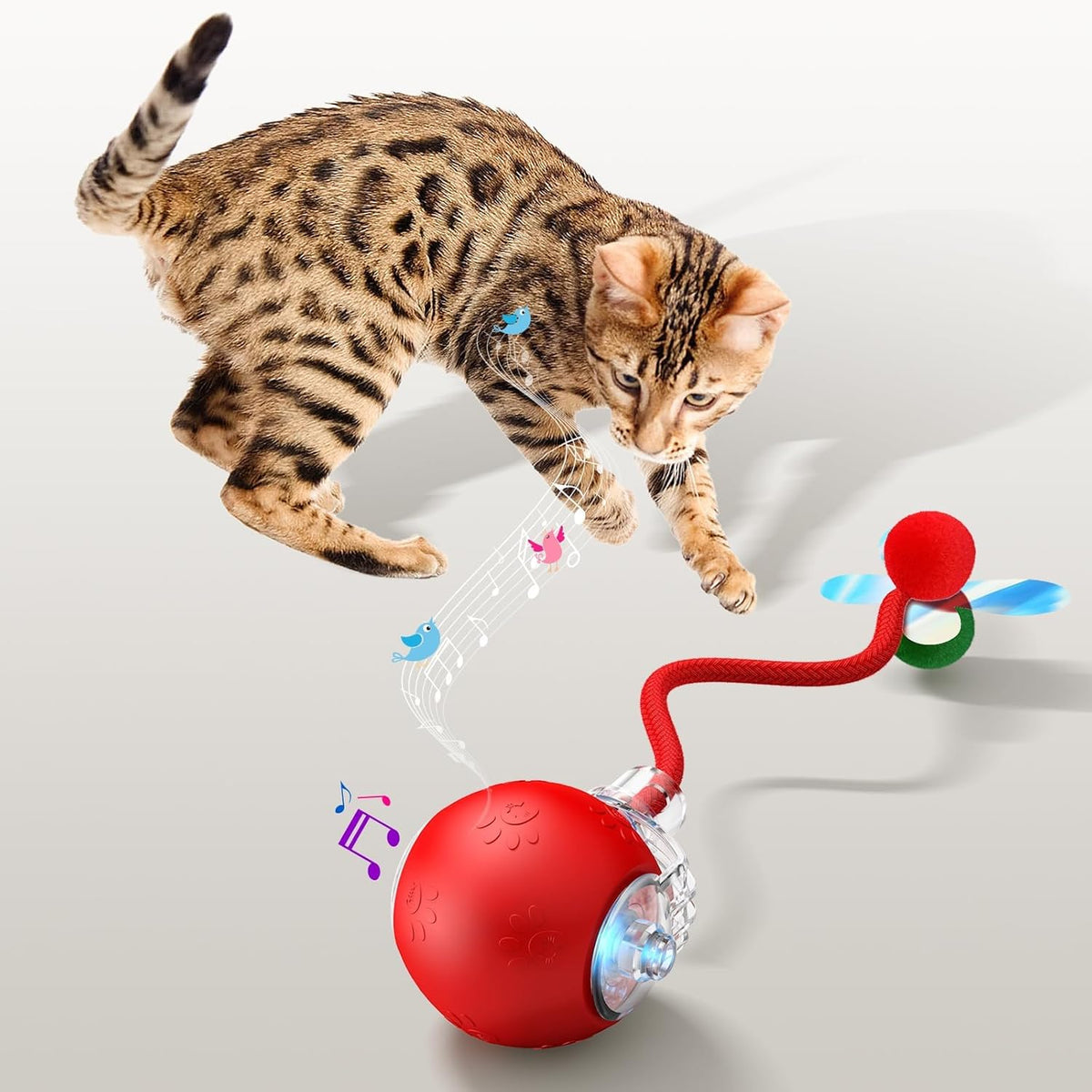 Interactive Cat Toys for Indoor Cats - Kitten Toy with Speedy Tail 2.0, Automatic Cat Toys for
