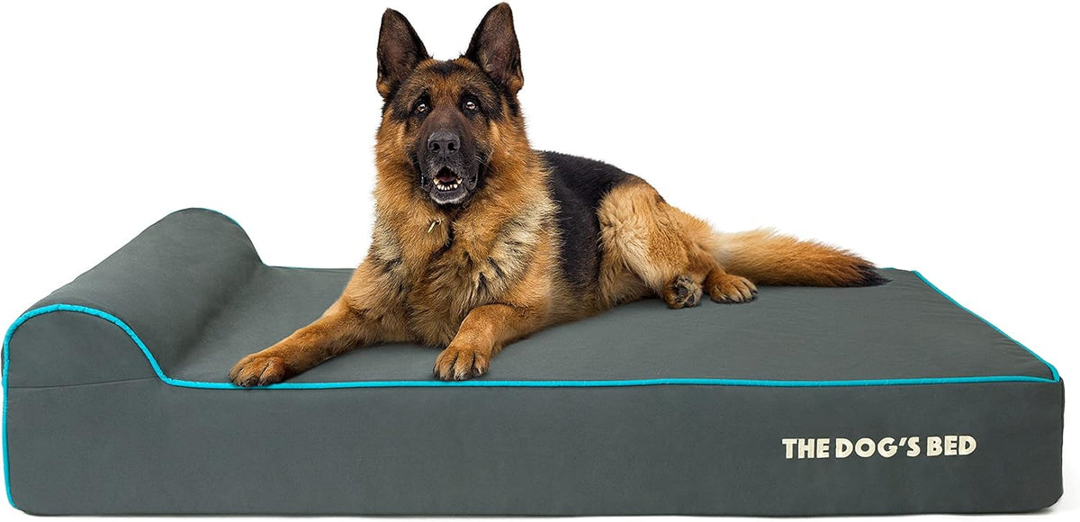 The Dog’s Bed Orthopedic Headrest Dog Bed XL Grey/Blue 46x25, Memory Foam, Pain Relief for