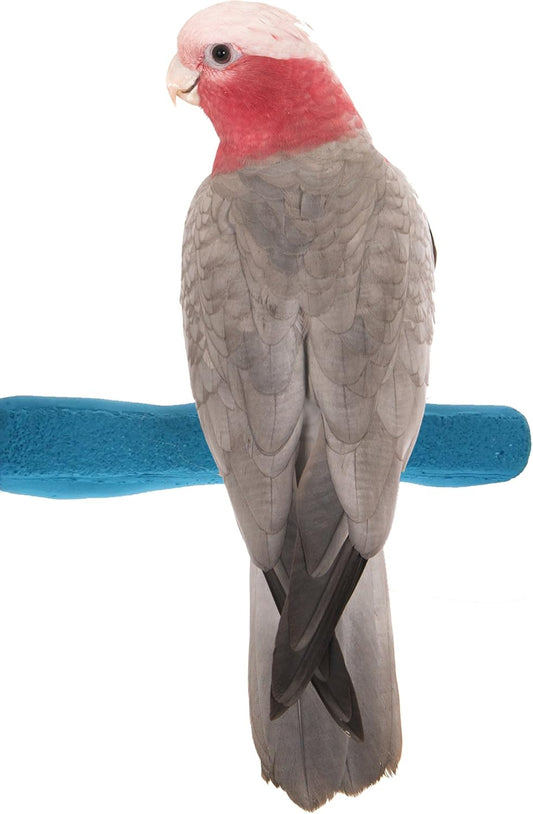 Comfort Grip Safety Perch for Bird Cages - Pedicure Perch for Birds to Keep Nails and Beaks in Top