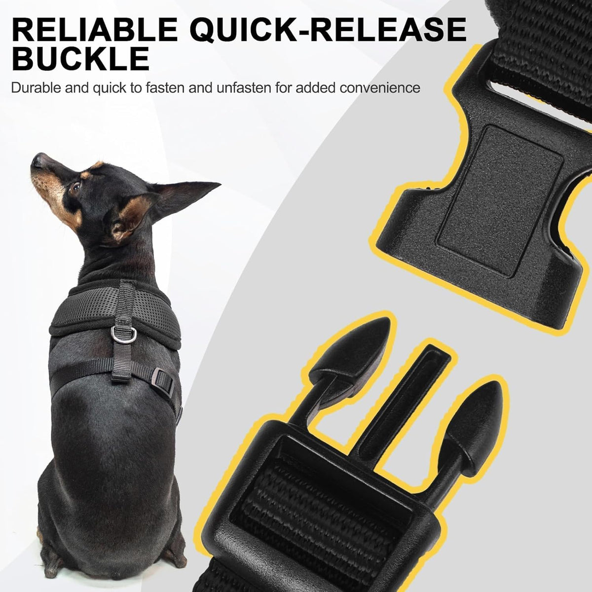 BINGPET Small Dog Harness - Breathable Mesh Puppy Cat Harnesses - No Pull Adjustable Dog Harness