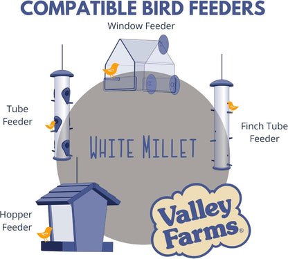 Valley Farms White Millet Wild Bird Seed (20 LB) for Outside feeders, White proso Millet, Bird