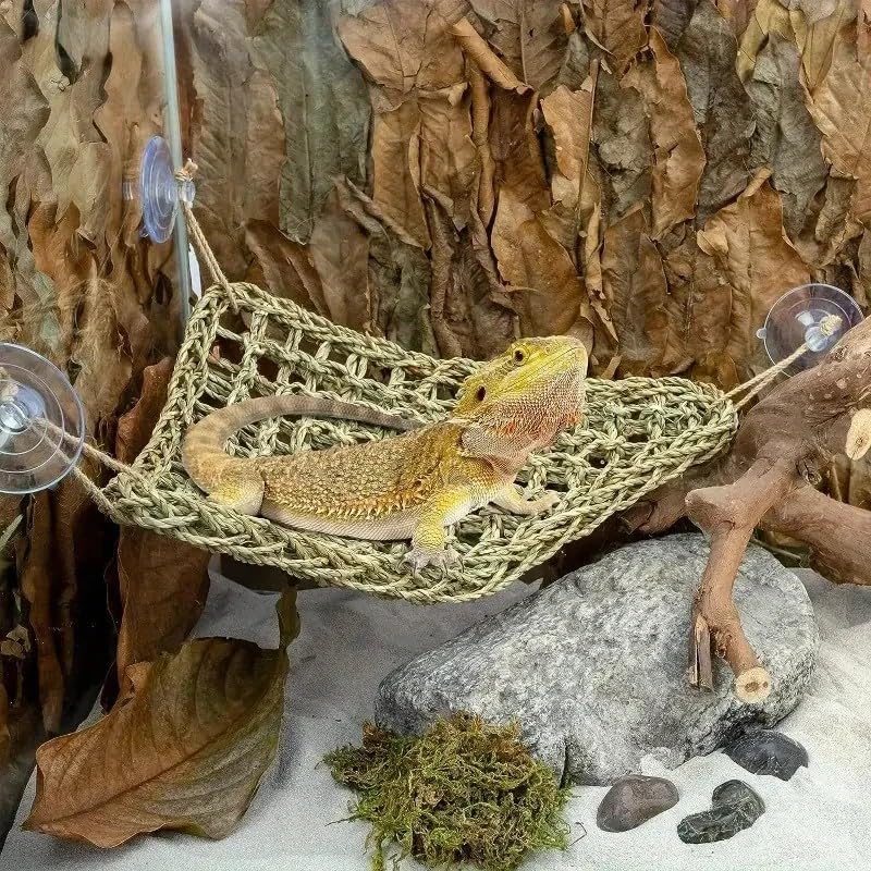Bearded Dragon Tank Accessories Set: Reptile Habitat Decor with Climbing Hammock Toys, Natural Wood