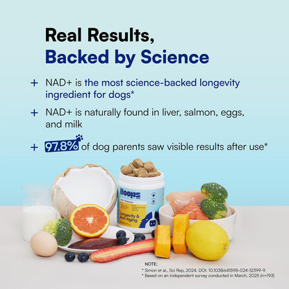 NAD+ Precursor & Senior Dog Supplement - 90 Soft Chews & Vitamins - NMN Alternative for Longevity