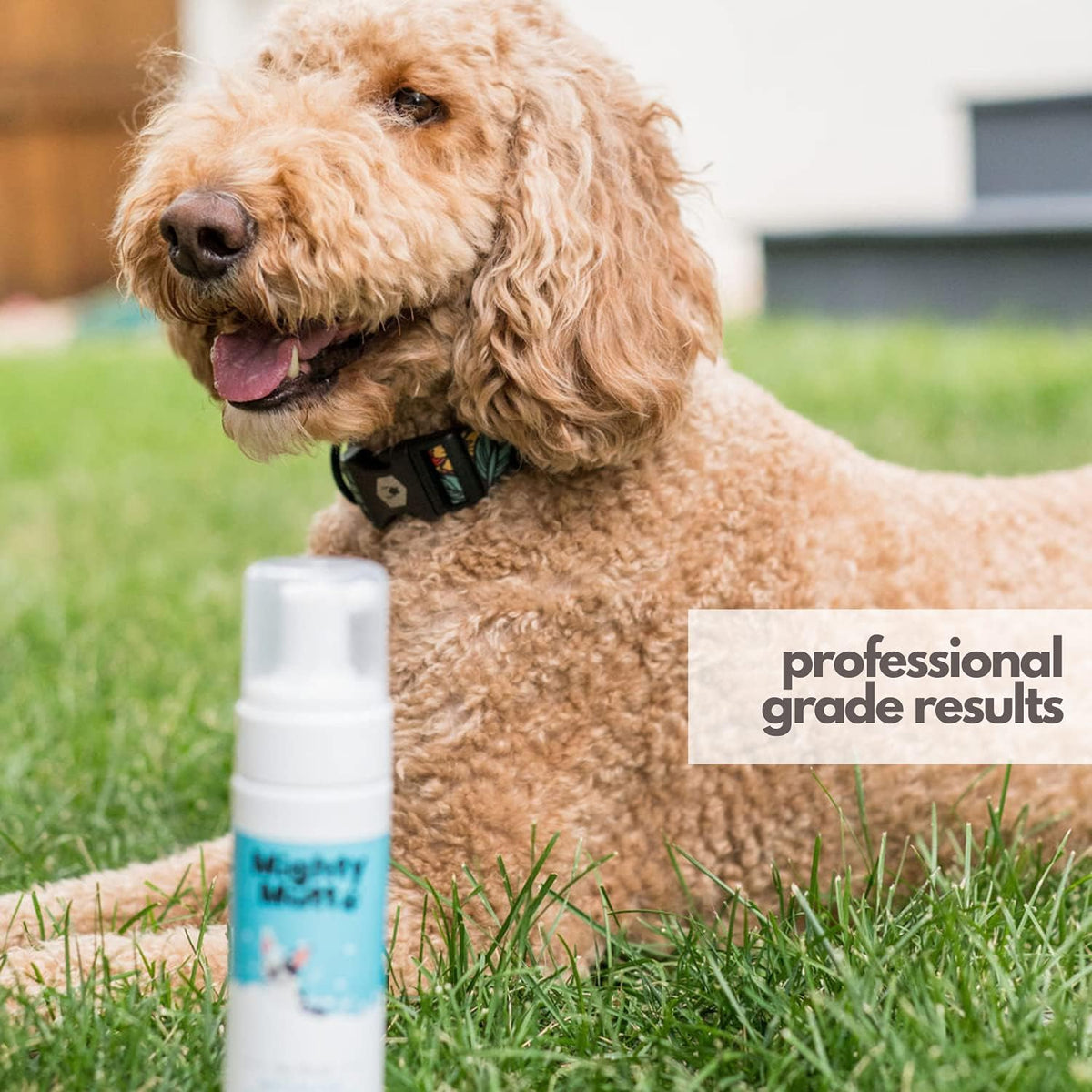 Mighty Mutt Hypoallergenic Waterless Shampoo for Dogs | Dry Shampoo for Dogs | Waterless Foam No
