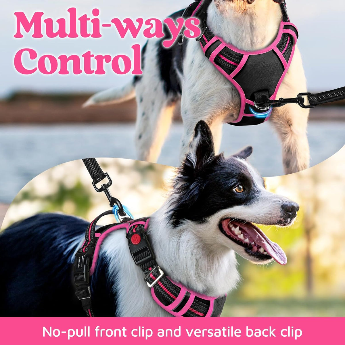rabbitgoo Dog Harness Small Sized, No Pull Dog Vest with 3 Buckles, Adjustable Soft Padded Pet
