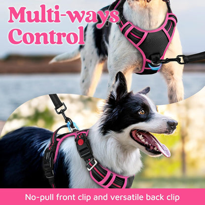 rabbitgoo Dog Harness Small Sized, No Pull Dog Vest with 3 Buckles, Adjustable Soft Padded Pet