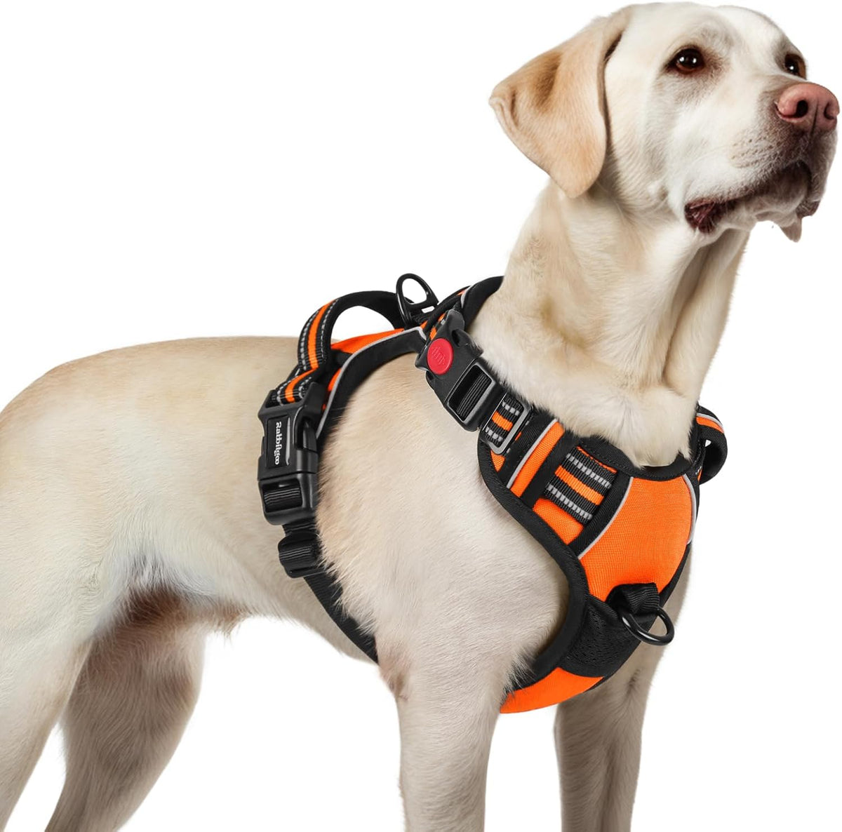 rabbitgoo Dog Harness for Large, No Pull Pet Harness with 3 Buckles, Adjustable Soft Padded Vest