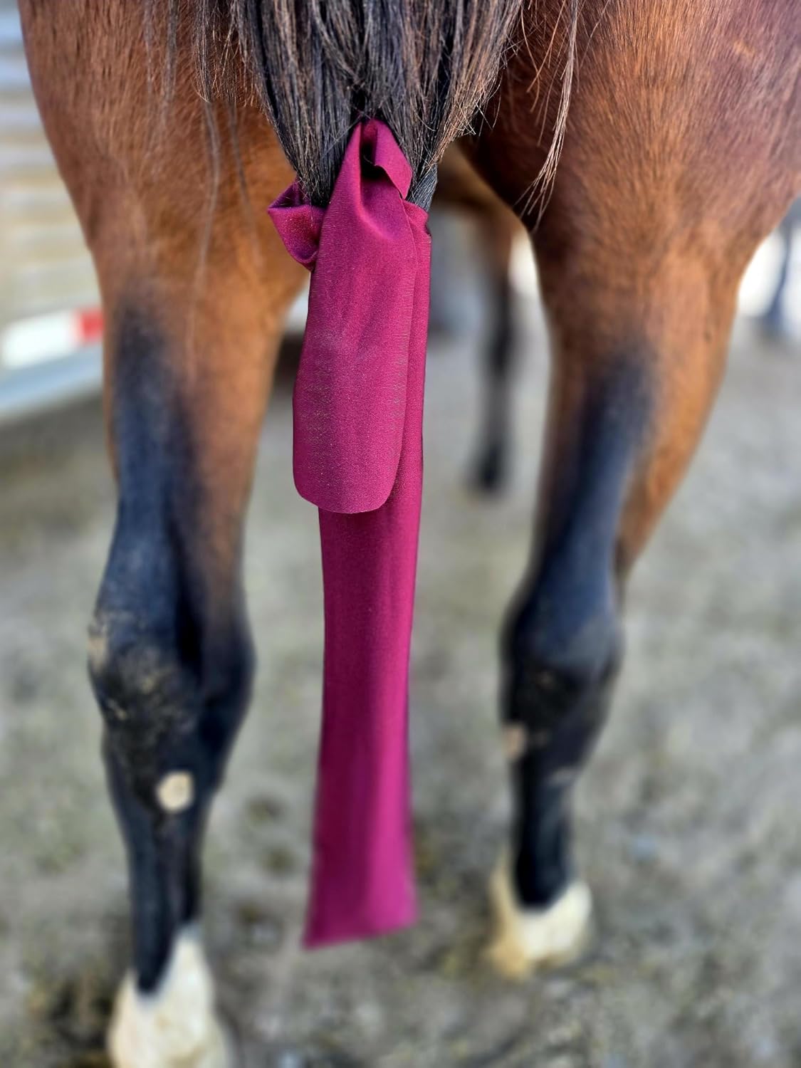 Ranch Hand Premium Tail Bag – Horse Tail Bag Made from Durable Stretchable – Gentle on Hair and