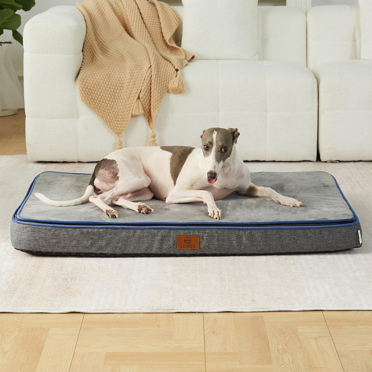 Memory Foam Large Dog Bed - 4” Thick Orthopedic Beds for Large Dogs - Waterproof Dog Bed with
