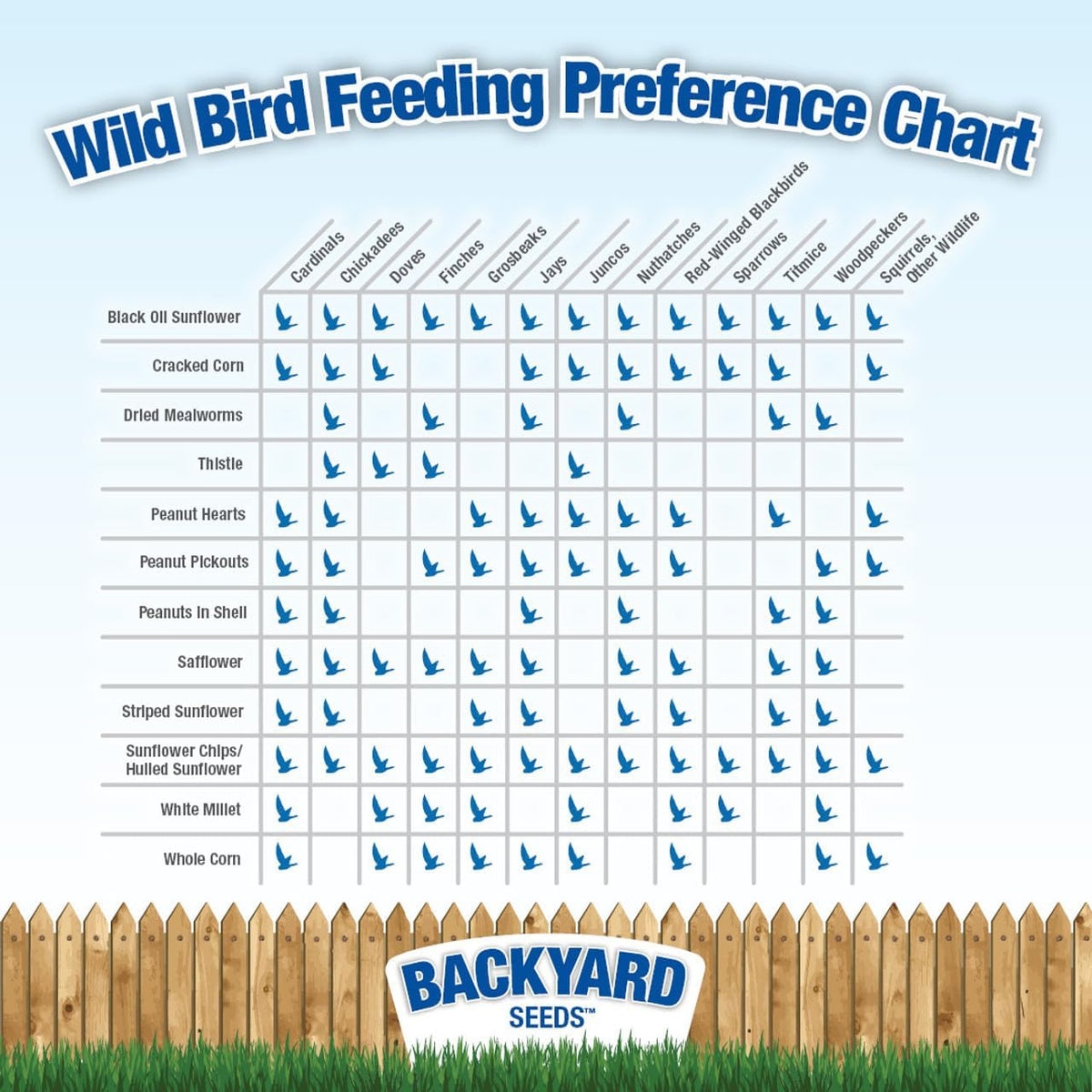 CountryMax Backyard Seeds Songbird Blend Wild Bird Seed – 50 lb Bag – Premium Mix with Sunflower