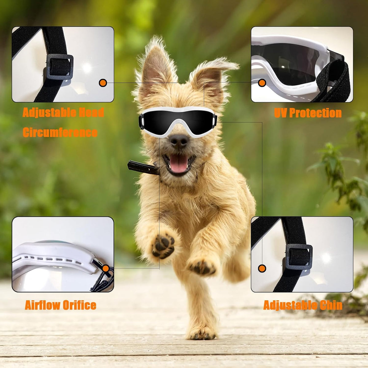 Dog Goggles Small Breed Dog Sunglasses with Adjustable for UV Protection Eyewear Doggy Doggie Puppy
