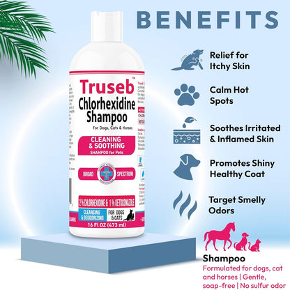 Truseb Topical Ketoconazole and Chlorhexidine Shampoo for Dogs, Cats, and Horses with Aloe - 16 oz