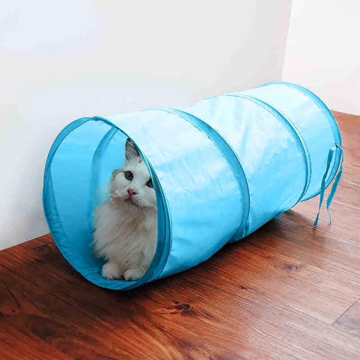 iCAGY Foldable Spiral Cat Tunnel - Indoor Toy for Small Cats, Kittens, and Rabbits - Tube for