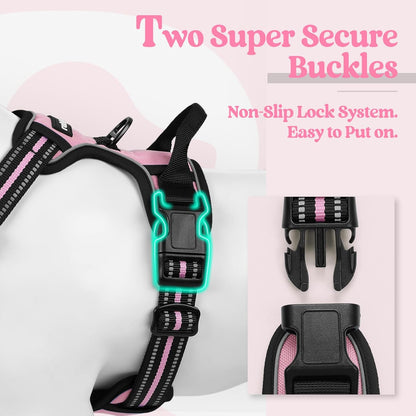 rabbitgoo Dog Harness No Pull with 2 Leash Clips, Adjustable Soft Padded, Reflective Oxford No