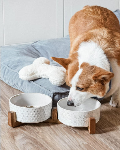 LE TAUCI Dog Bowl Set with Acacia Wood Stand - 1.5-Cup Ceramic Puppy Bowls for Small Dogs, Dual