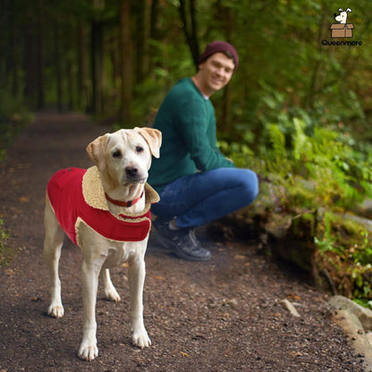 Queenmore Warm Dog Coat, Cold Weather Puffer Dog Jacket Ultra Thick Plush Lining with Storage