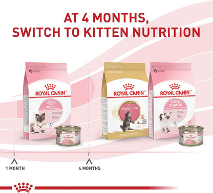 Royal Canin Feline Health Nutrition Mother & Babycat Ultra Soft Mousse in Sauce Canned Cat Food