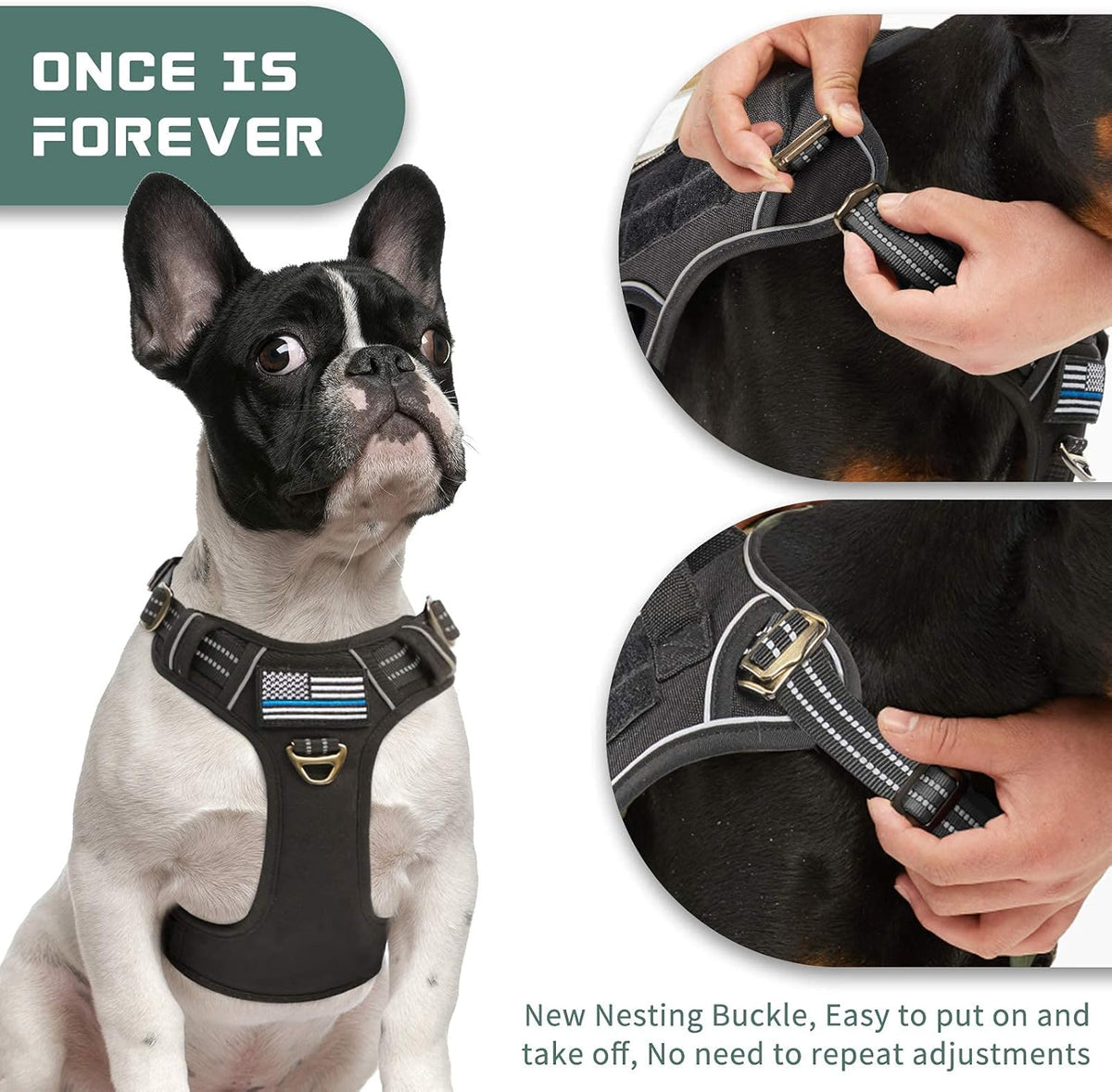 BUMBIN Tactical Dog Harness for Small Dogs No Pull, Famous TIK Tok No Pull Puppy Harness, Fit Smart