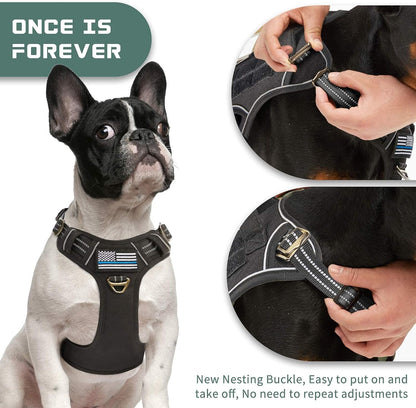 BUMBIN Tactical Dog Harness for Small Dogs No Pull, Famous TIK Tok No Pull Puppy Harness, Fit Smart